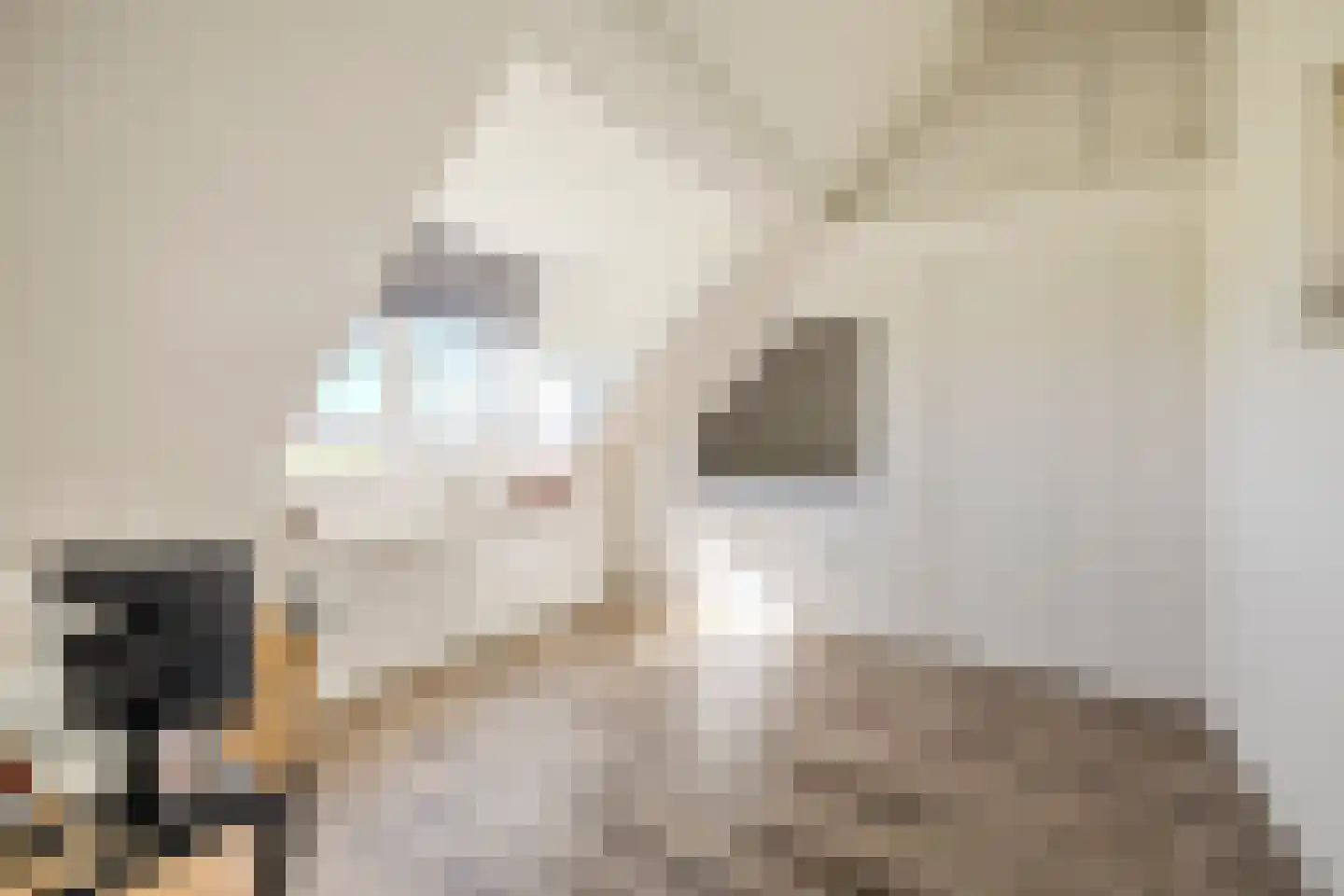 Kuipersdijkje 6 Broekhuizen thumbnail 38