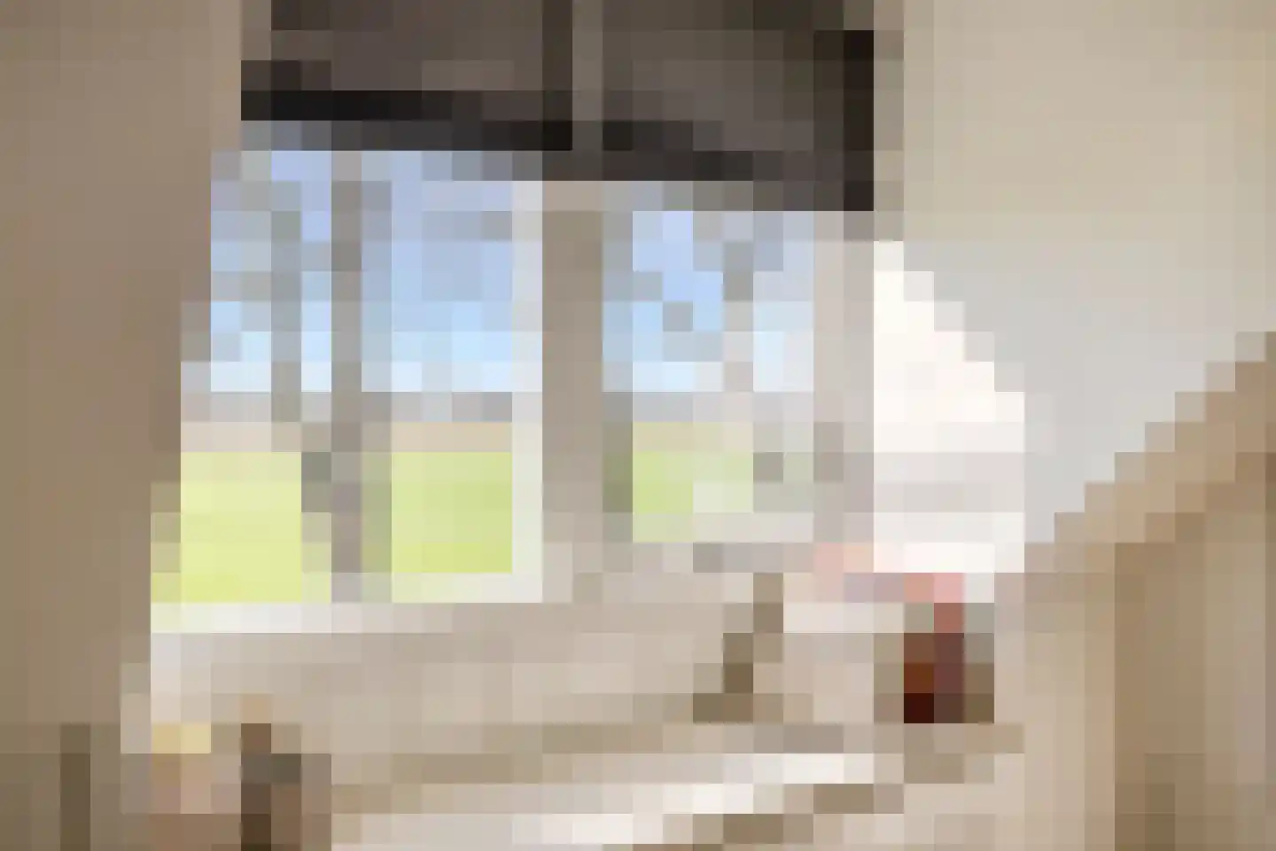 Kuipersdijkje 6 Broekhuizen thumbnail 39
