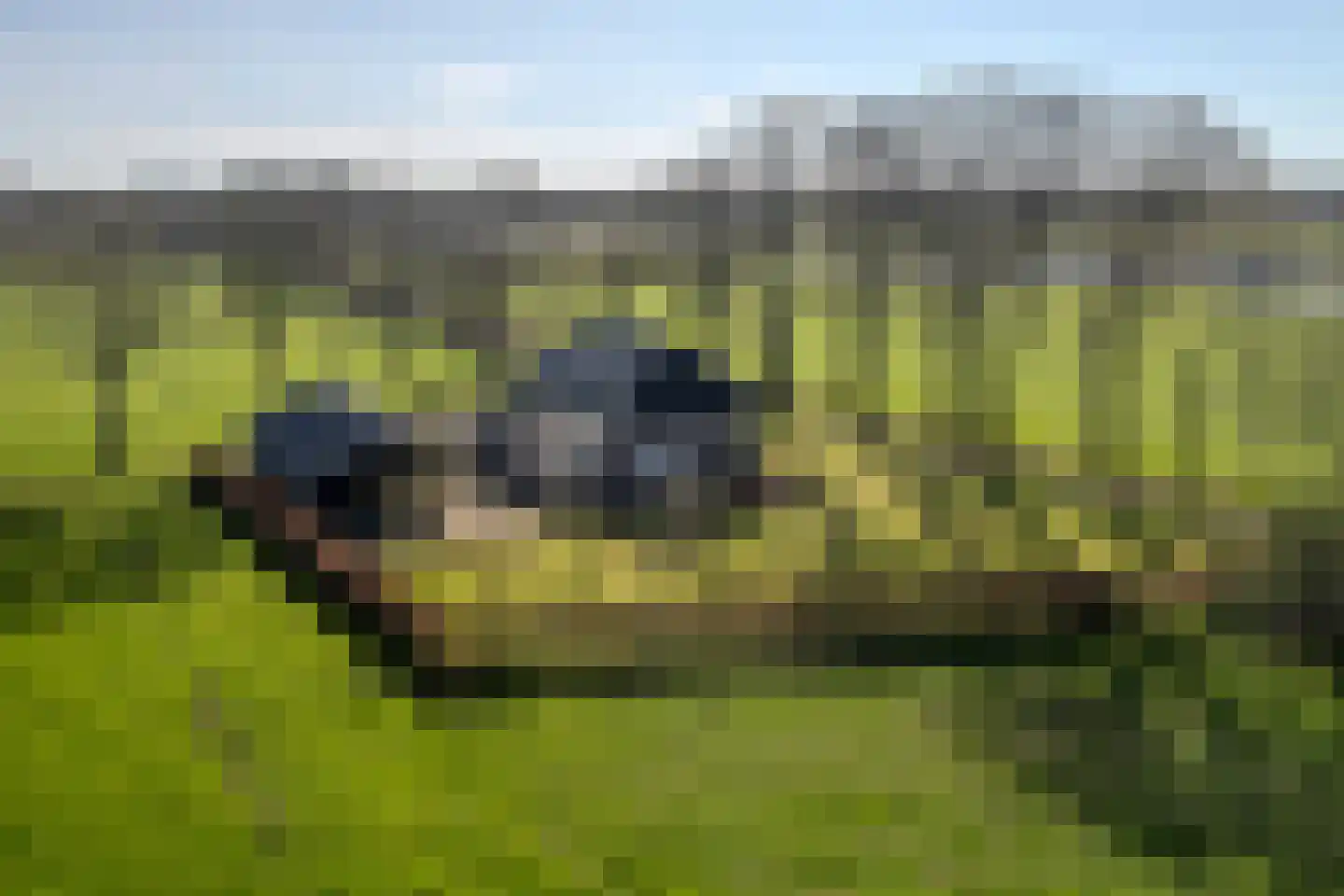 Kuipersdijkje 6 Broekhuizen thumbnail 50