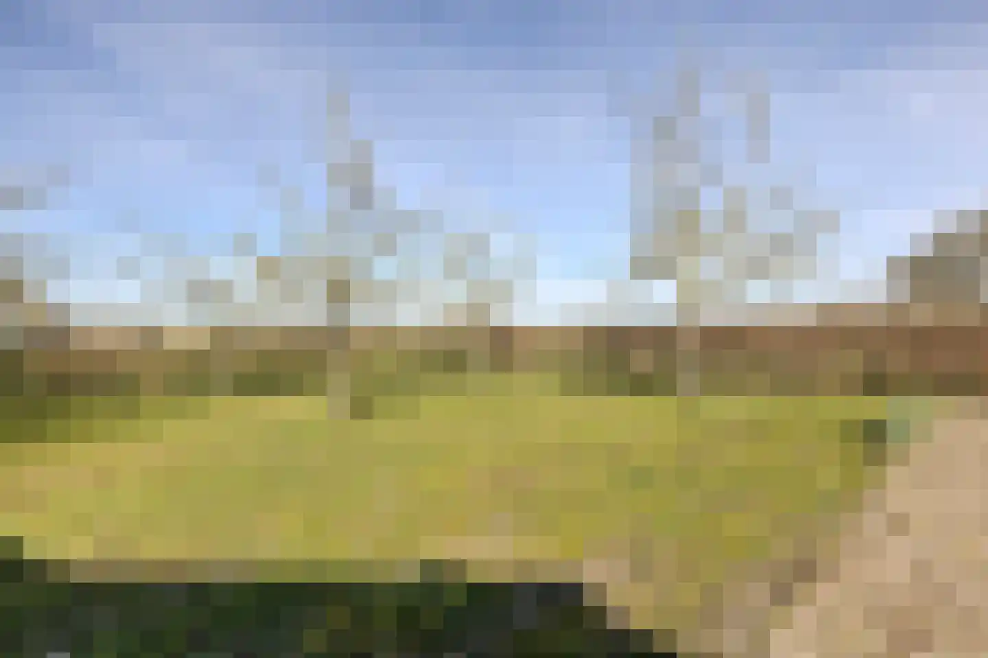 Kuipersdijkje 6 Broekhuizen thumbnail 56