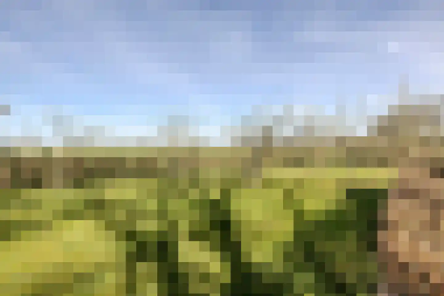 Kuipersdijkje 6 Broekhuizen thumbnail 57