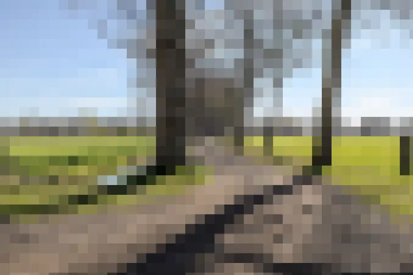 Kuipersdijkje 6 Broekhuizen thumbnail 58