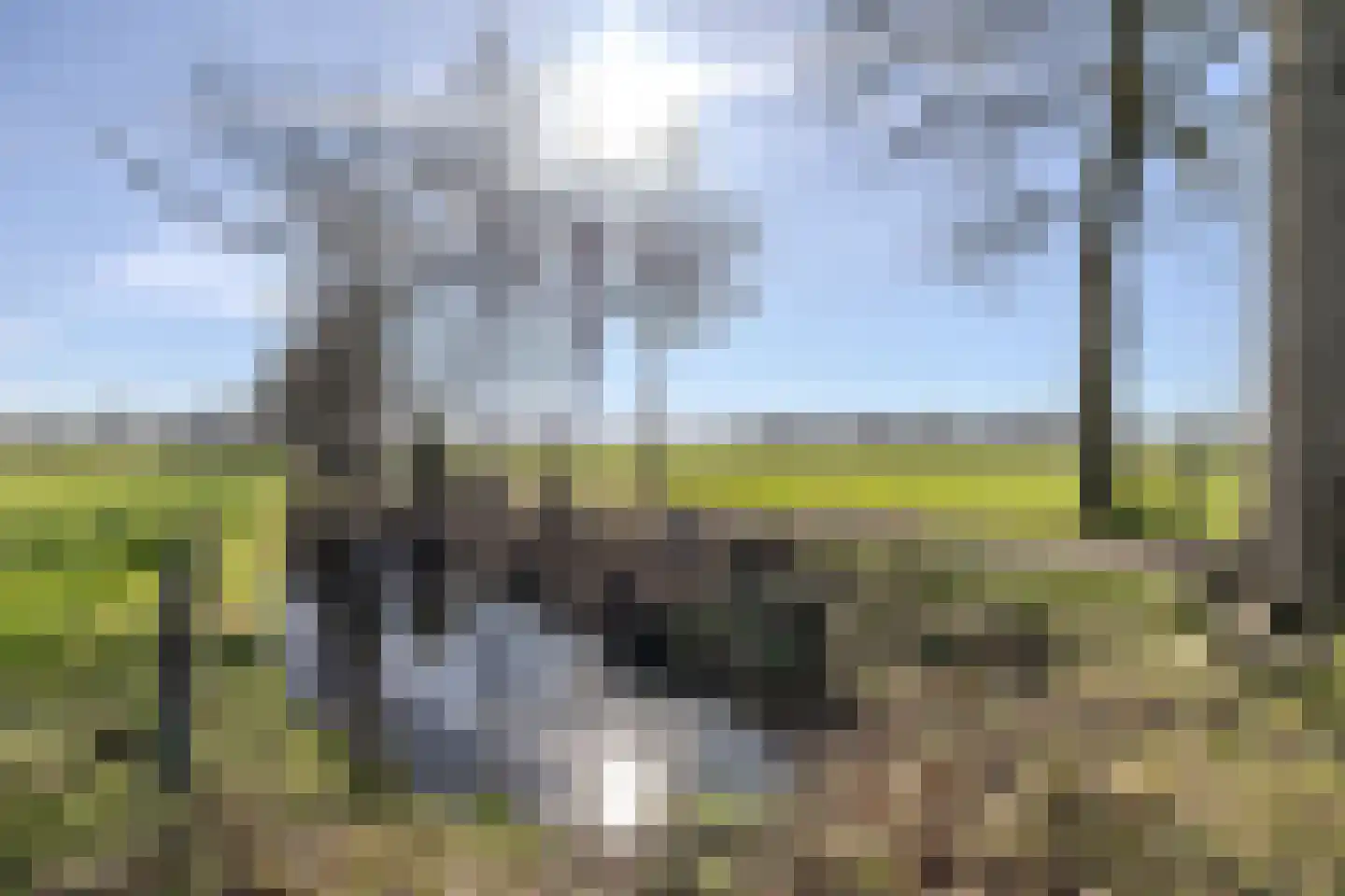Kuipersdijkje 6 Broekhuizen thumbnail 59