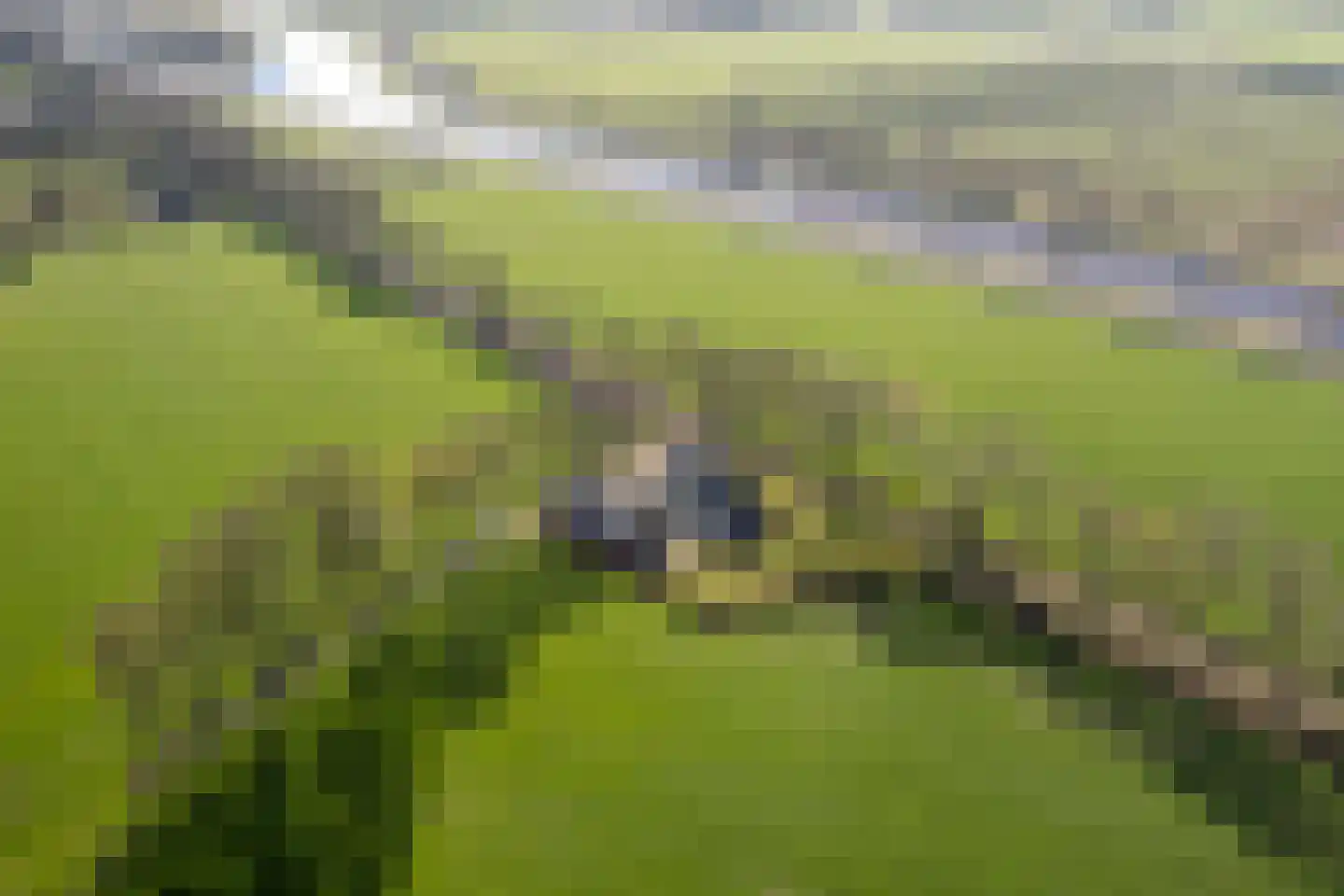 Kuipersdijkje 6 Broekhuizen thumbnail 6