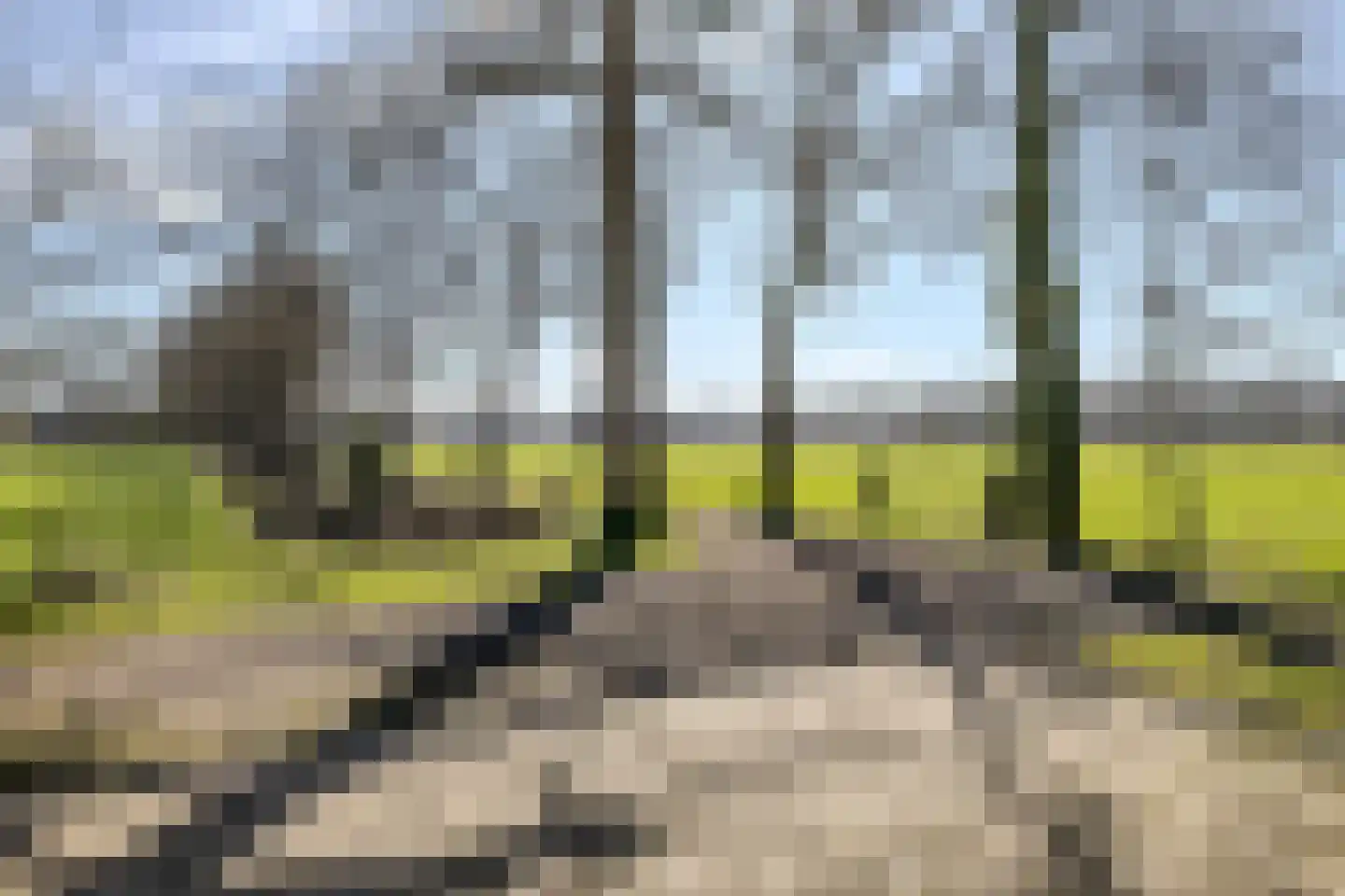 Kuipersdijkje 6 Broekhuizen thumbnail 7