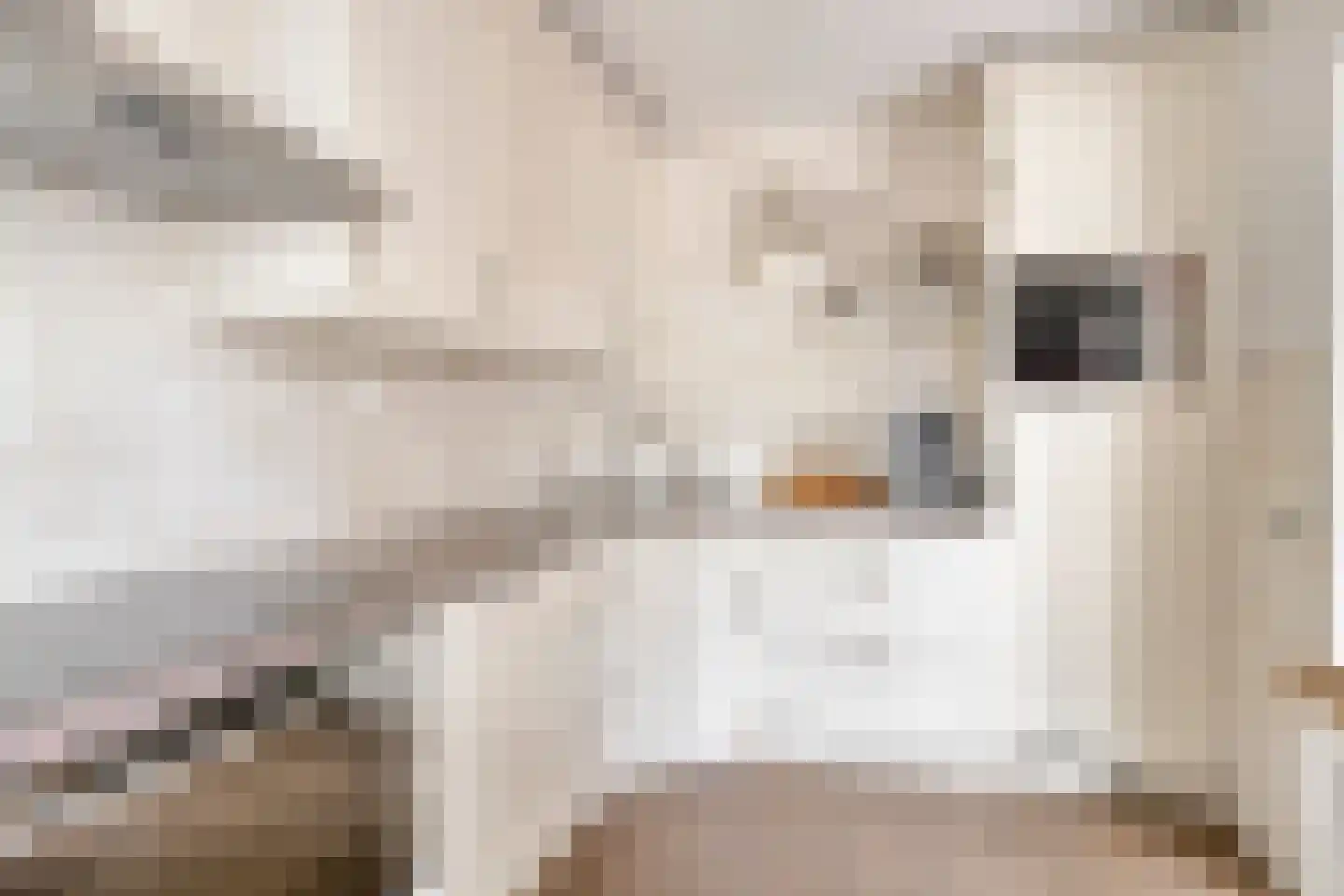 Kuipersdreef 28 Tholen thumbnail 13