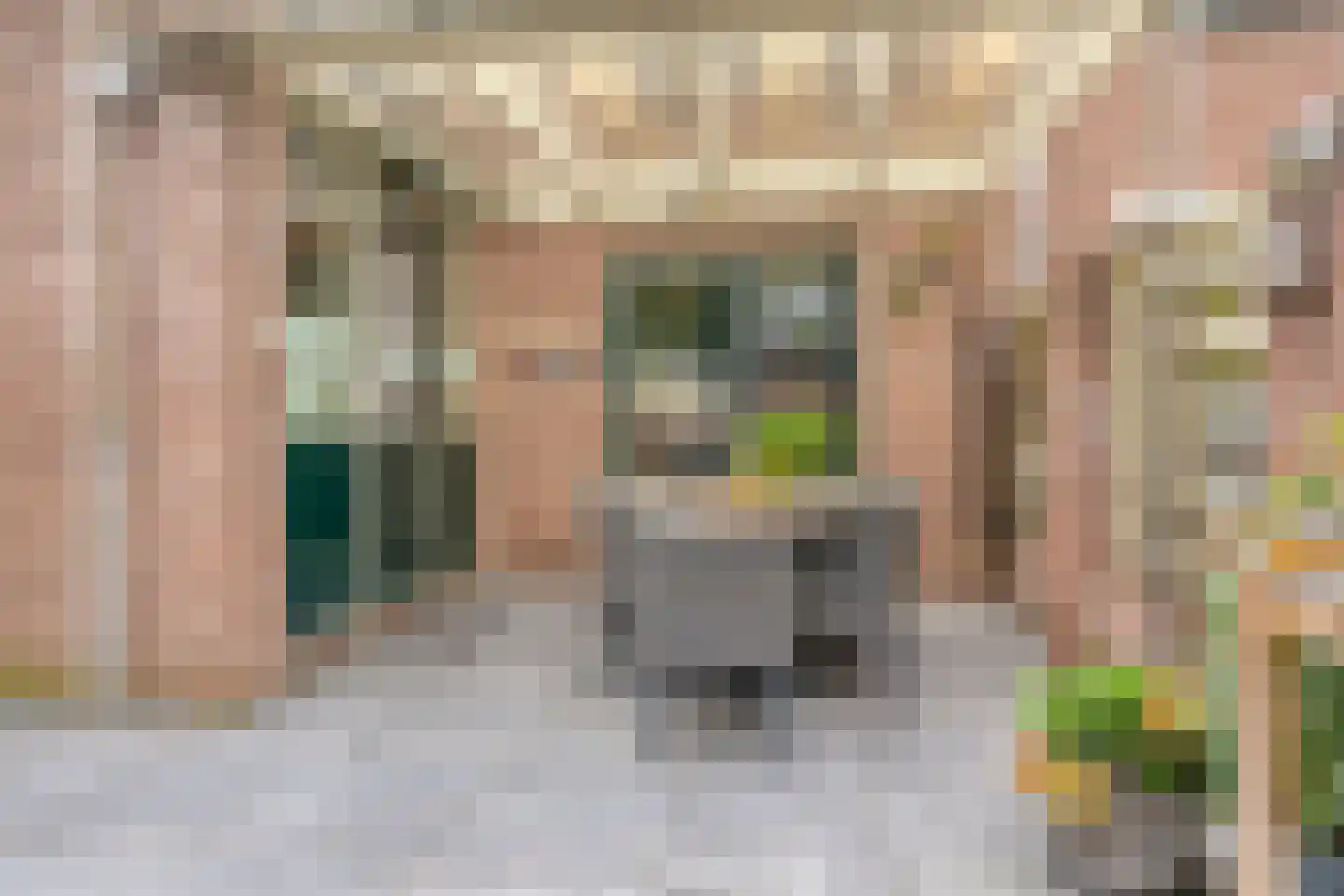 Kuipersdreef 28 Tholen thumbnail 36
