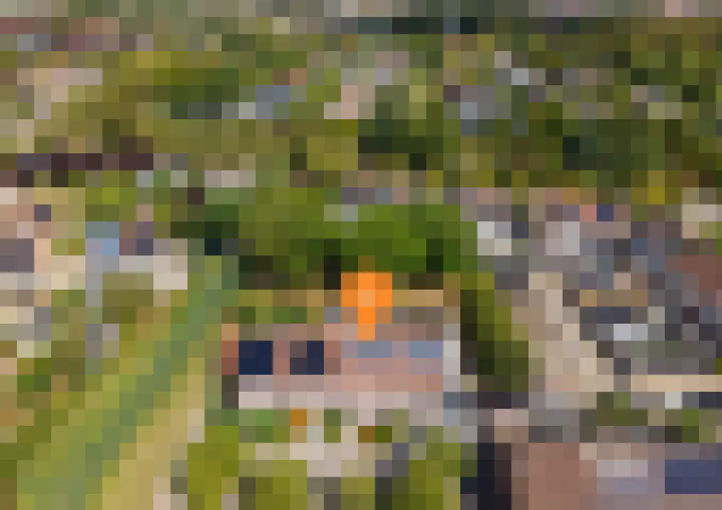 Kuipersdreef 28 Tholen thumbnail 47