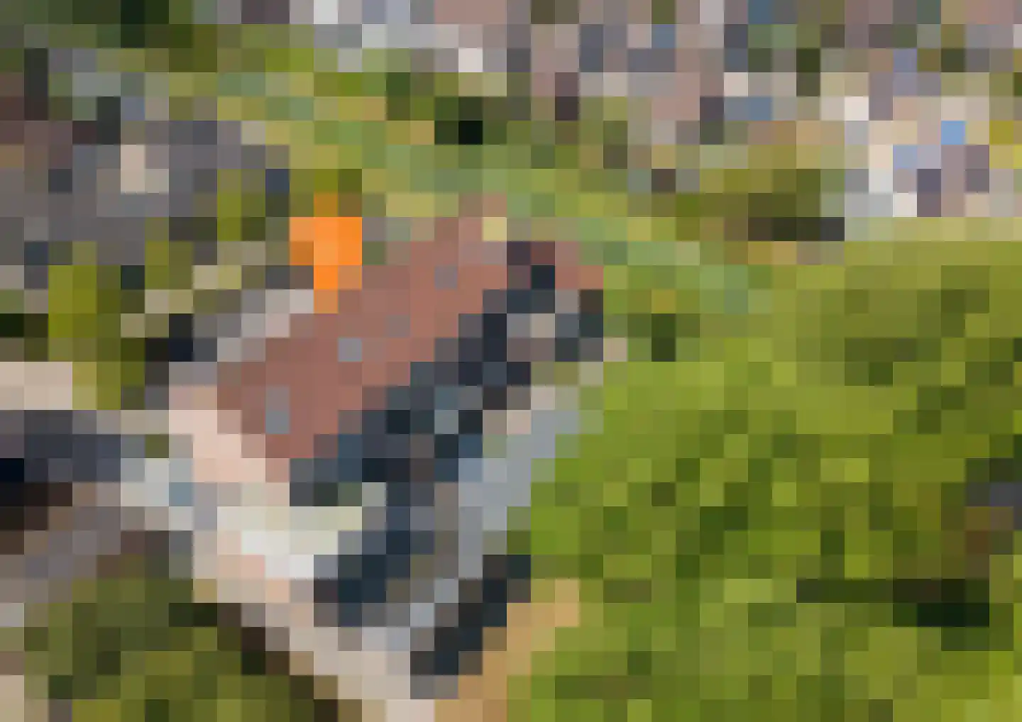 Kuipersdreef 28 Tholen thumbnail 48