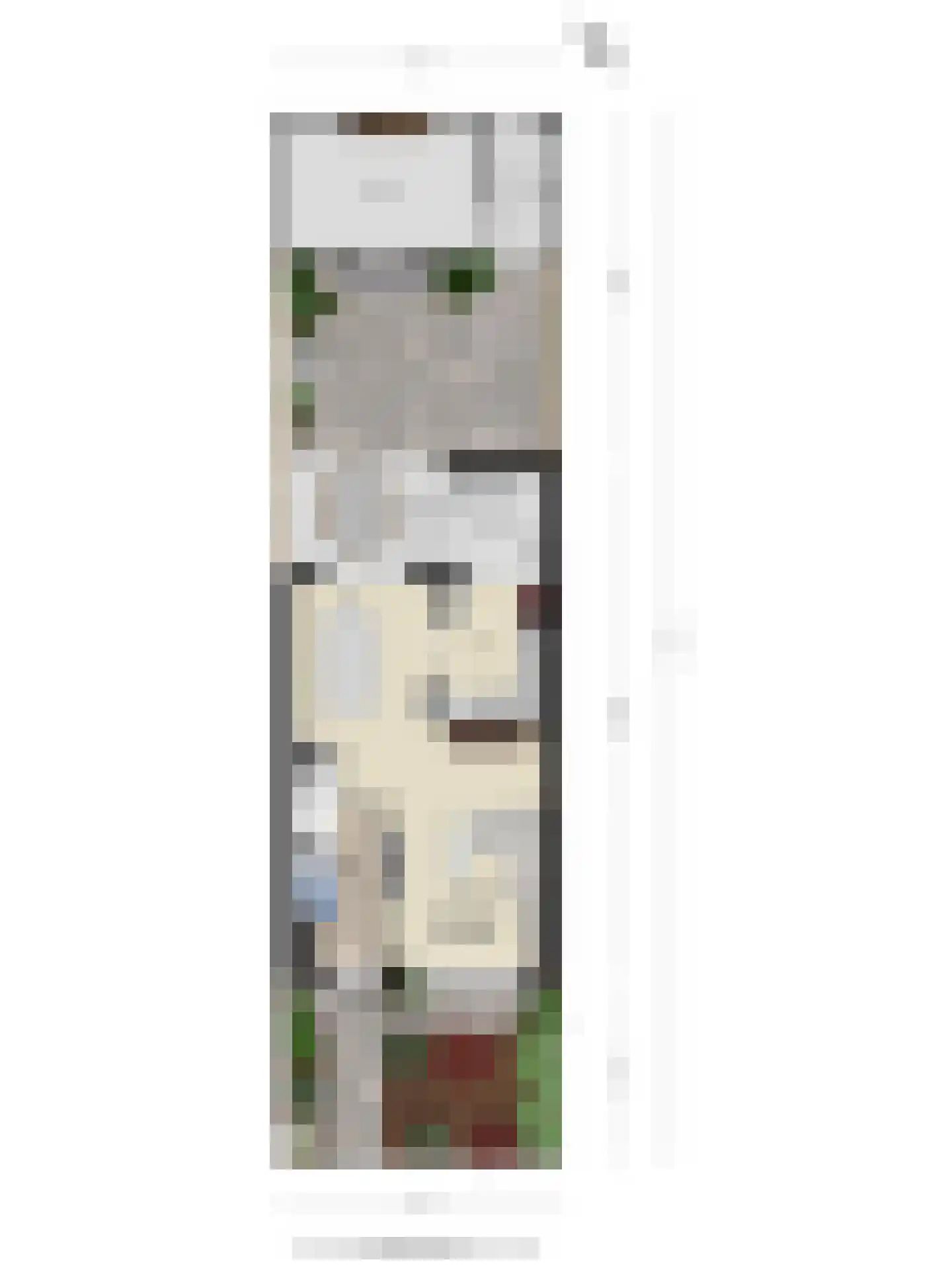 Kuipersdreef 28 Tholen thumbnail 59