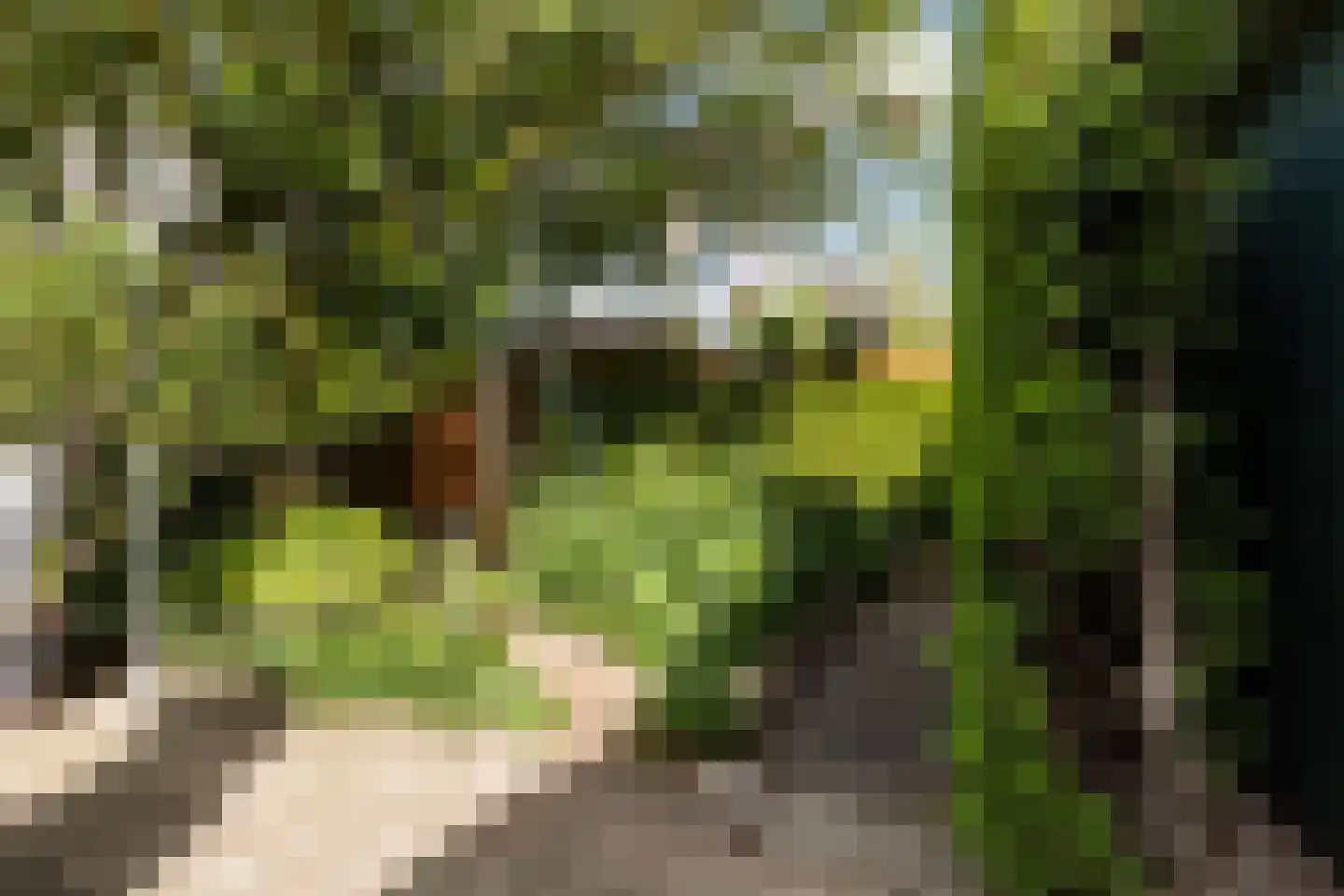 Kuiperserf 32 Twello thumbnail 27