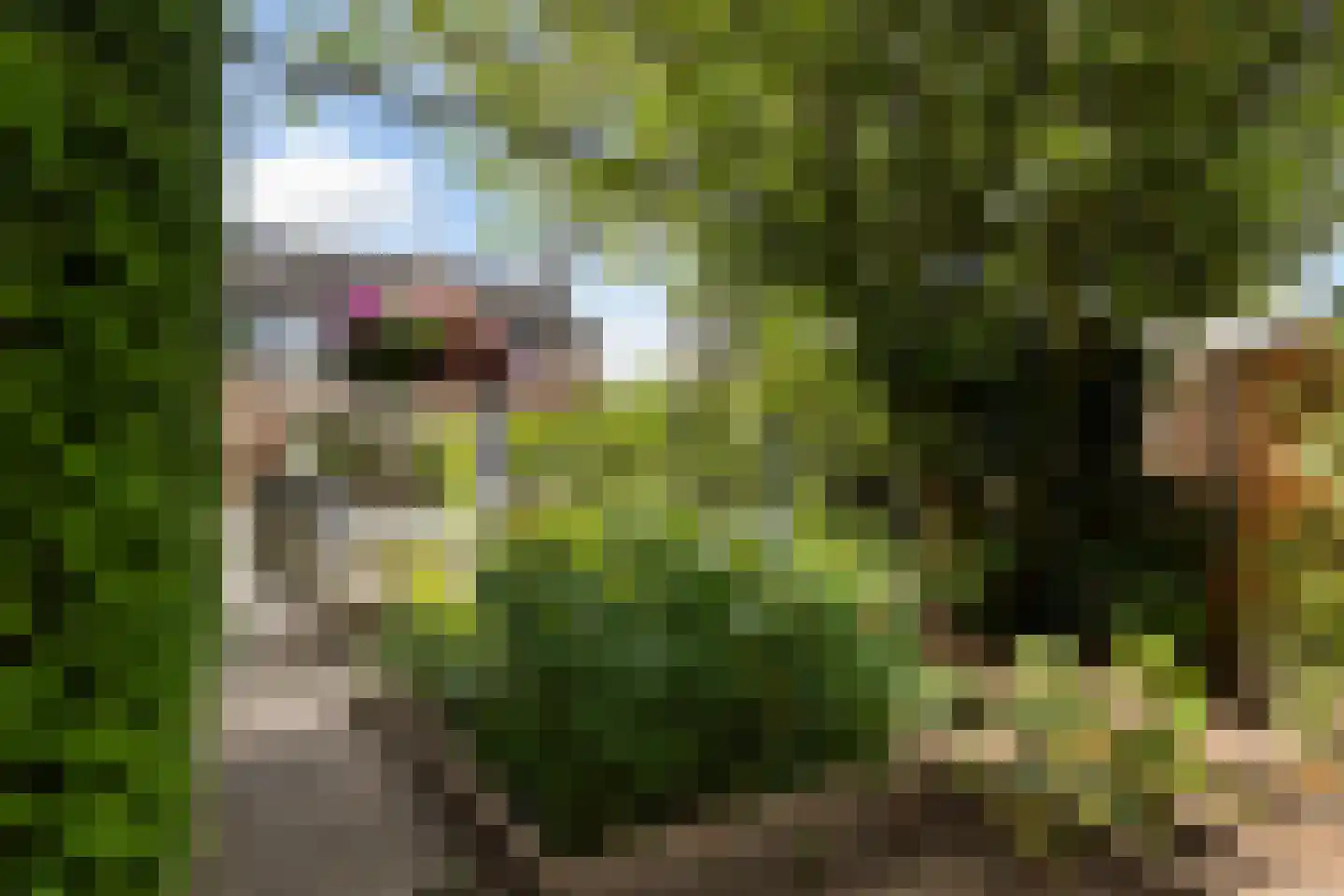Kuiperserf 32 Twello thumbnail 28