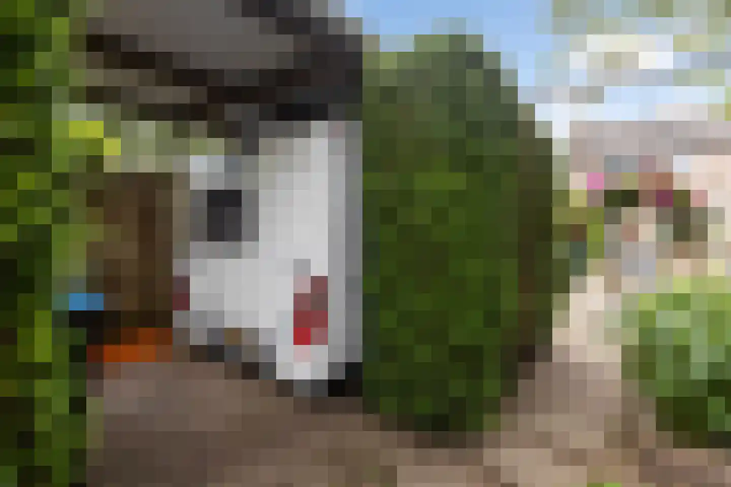 Kuiperserf 32 Twello thumbnail 29
