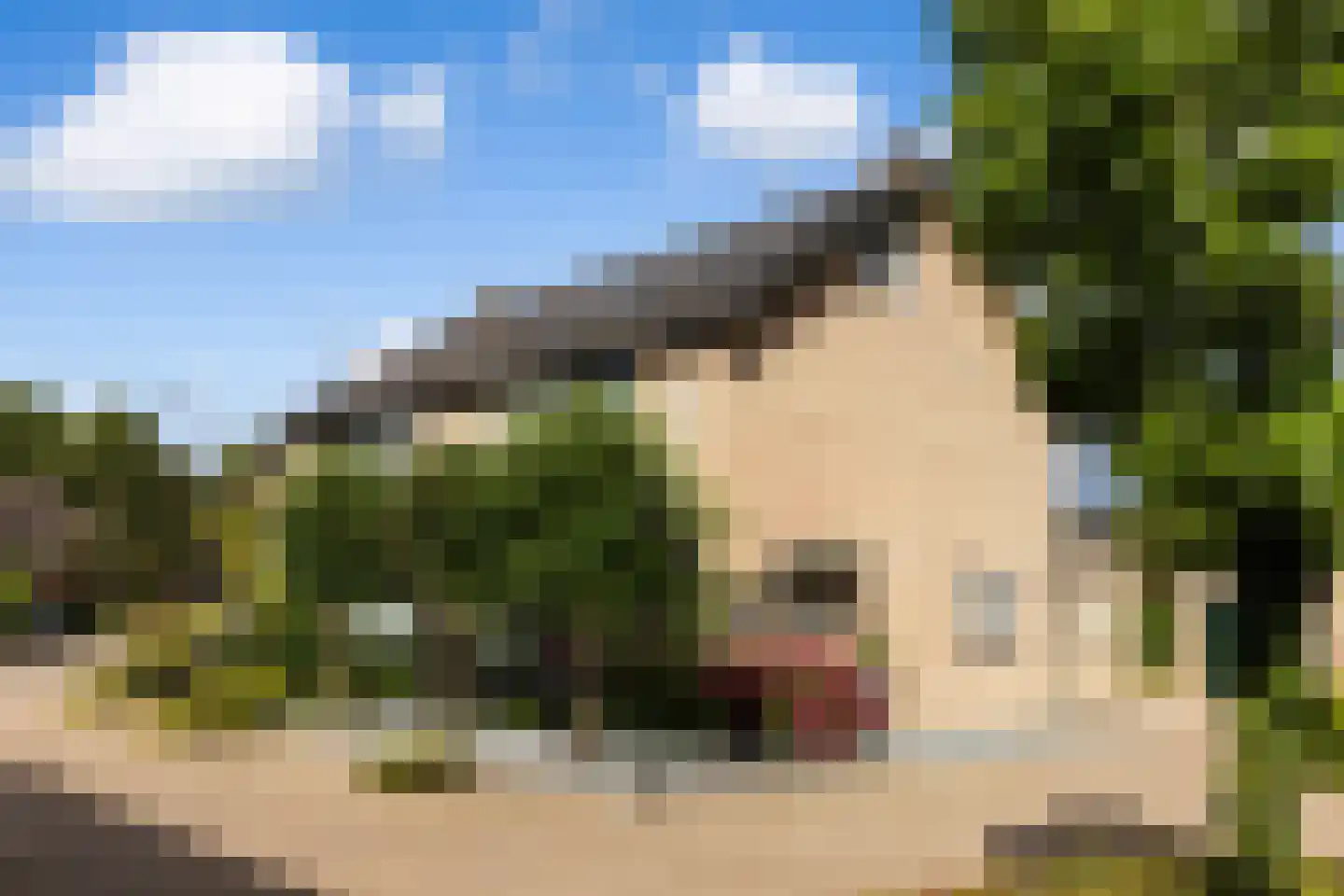 Kuiperserf 32 Twello thumbnail 33