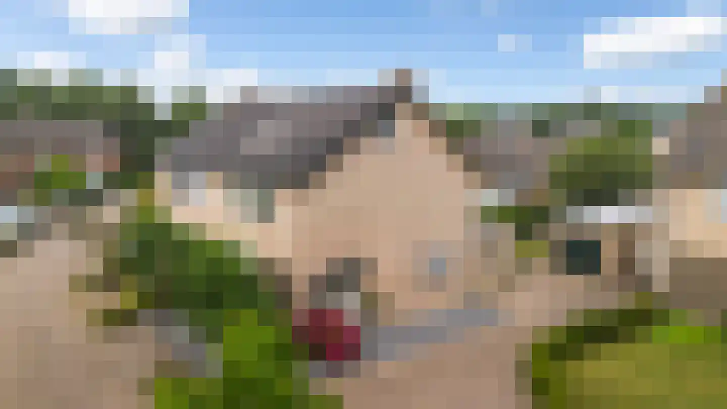 Kuiperserf 32 Twello thumbnail 34