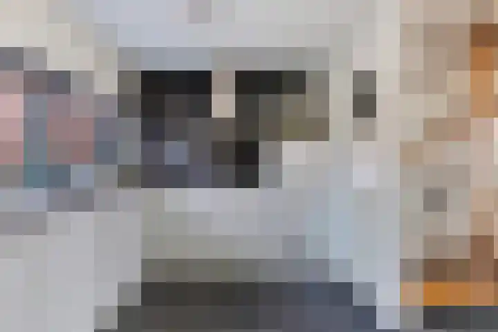 Kuiperserf 6 Aarlanderveen thumbnail 18