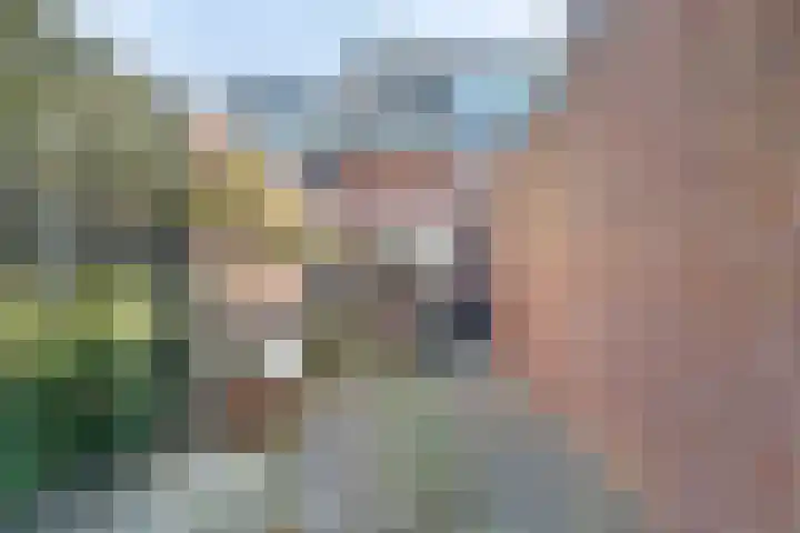 Kuiperserf 6 Aarlanderveen thumbnail 6