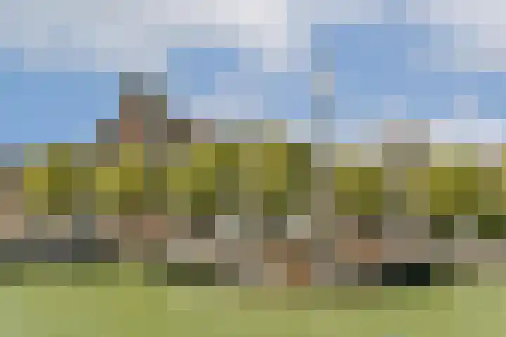 Kuipershaven 116 Dordrecht thumbnail 10