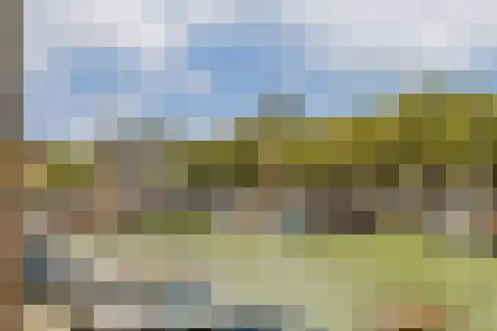Kuipershaven 116 Dordrecht thumbnail 9