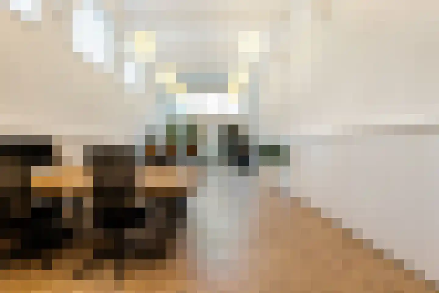 Kuipershaven 14 A Dordrecht thumbnail 17