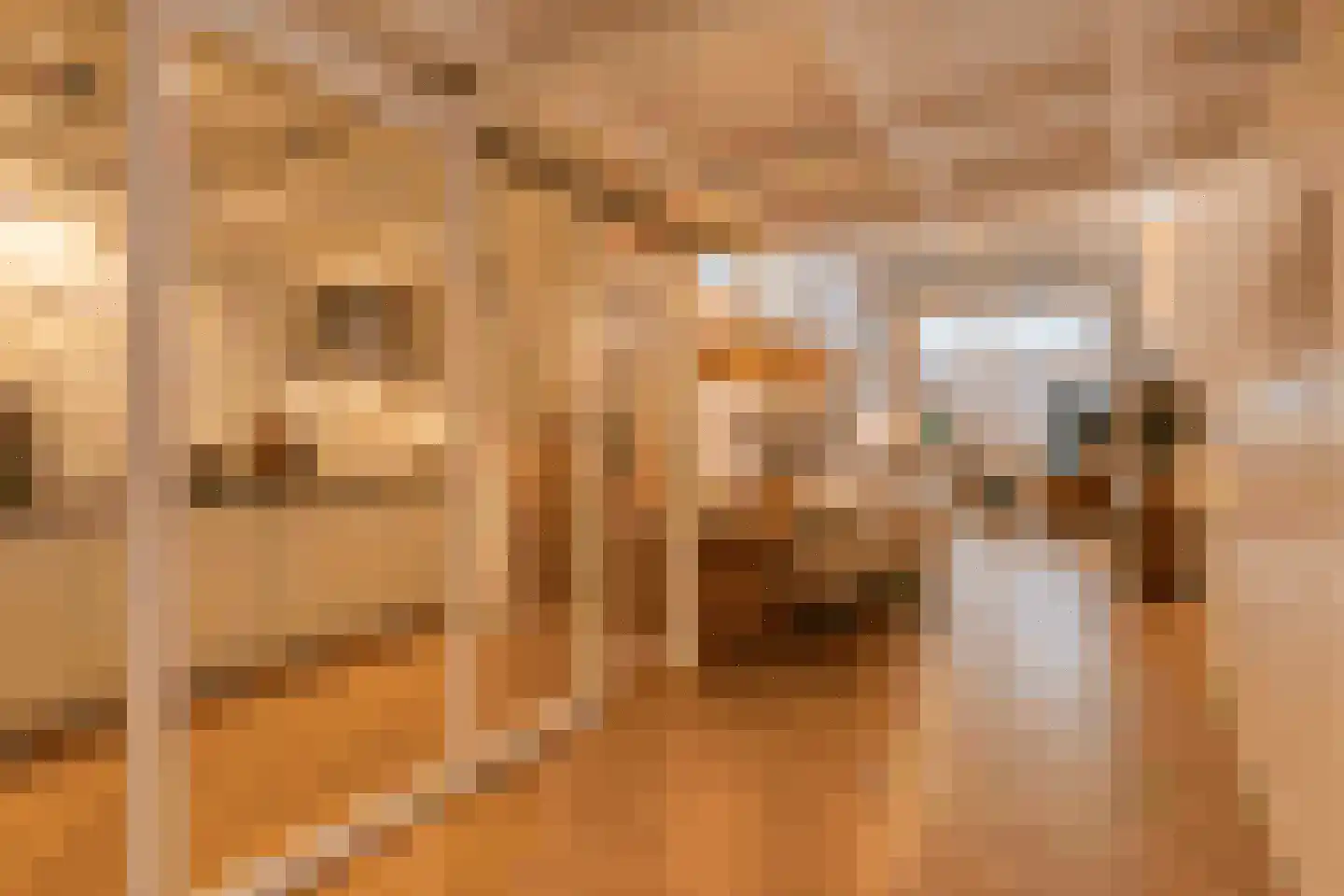 Kuipershaven 14 A Dordrecht thumbnail 6