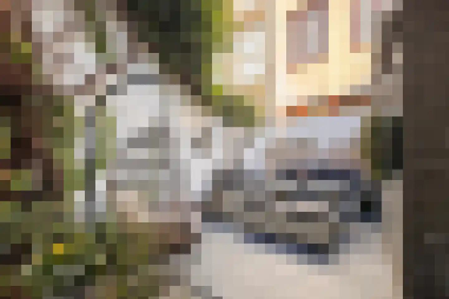 Kuipershaven 14 A Dordrecht thumbnail 7