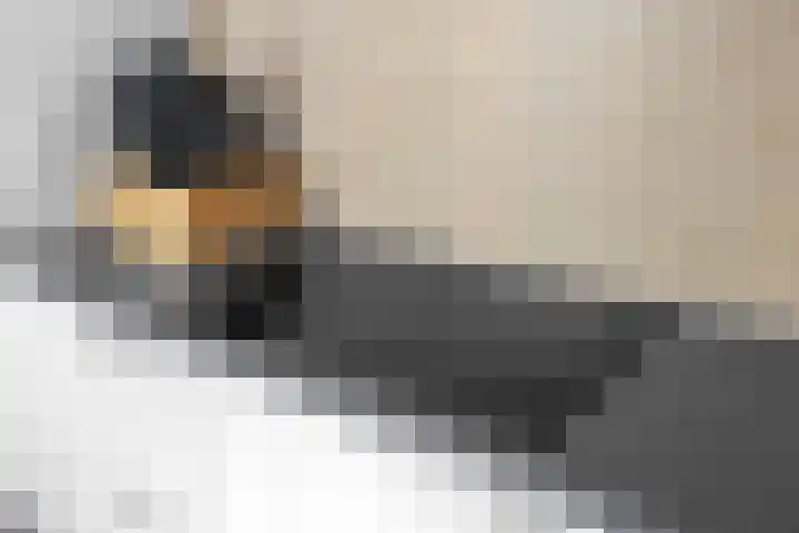 Kuipershaven 8 Dordrecht thumbnail 47