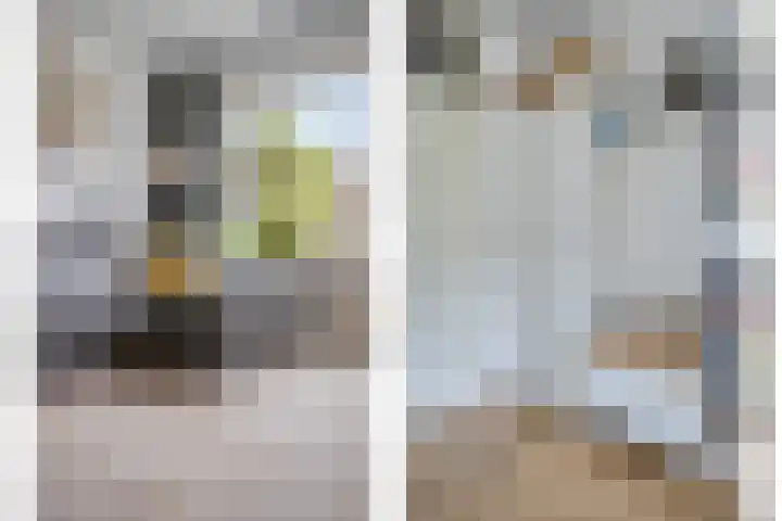 Kuipershoek 12 Drimmelen thumbnail 12