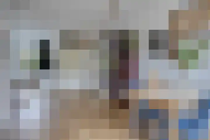 Kuipershoek 12 Drimmelen thumbnail 13