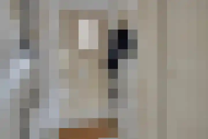 Kuipershoek 12 Drimmelen thumbnail 18