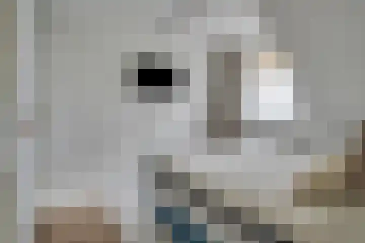 Kuipershoek 12 Drimmelen thumbnail 21