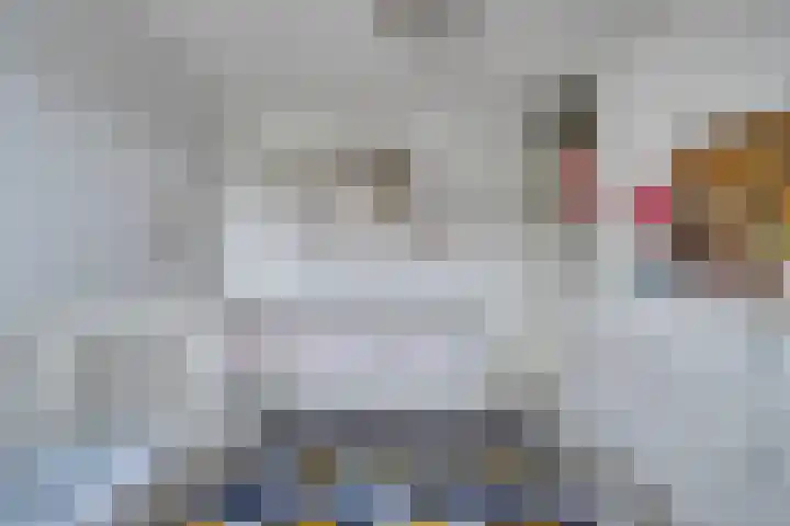 Kuipershoek 12 Drimmelen thumbnail 24