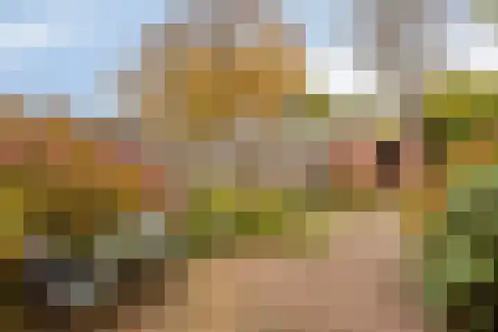 Kuipershoek 12 Drimmelen thumbnail 30