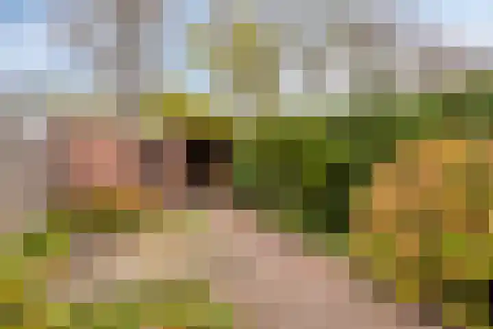 Kuipershoek 12 Drimmelen thumbnail 31