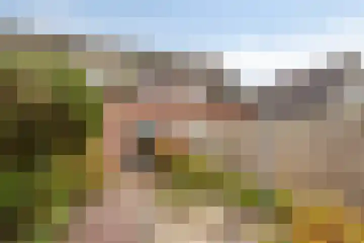 Kuipershoek 12 Drimmelen thumbnail 32