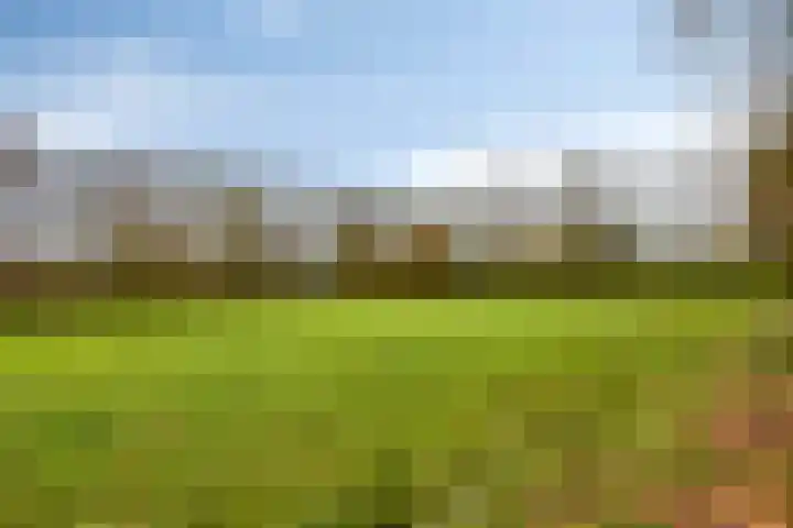 Kuipershoek 12 Drimmelen thumbnail 33