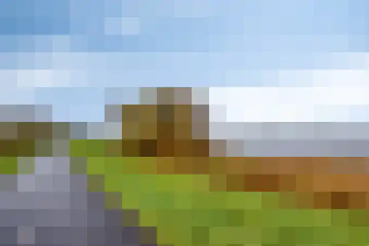 Kuipershoek 12 Drimmelen thumbnail 36