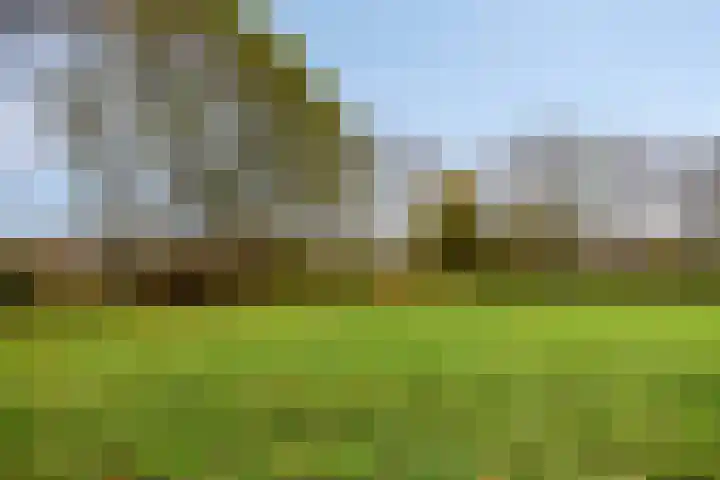 Kuipershoek 12 Drimmelen thumbnail 38