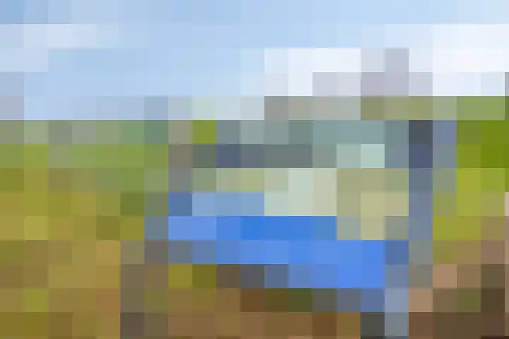 Kuipershoek 12 Drimmelen thumbnail 42