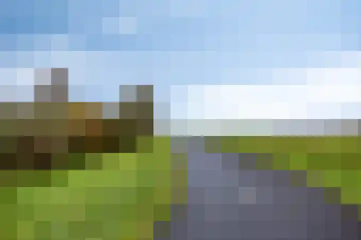 Kuipershoek 12 Drimmelen thumbnail 43