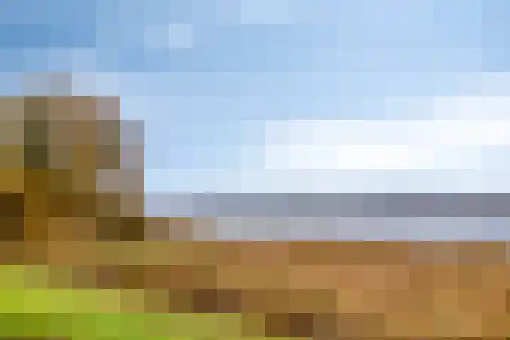 Kuipershoek 12 Drimmelen thumbnail 44