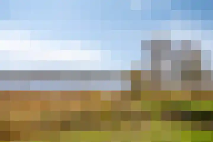 Kuipershoek 12 Drimmelen thumbnail 45