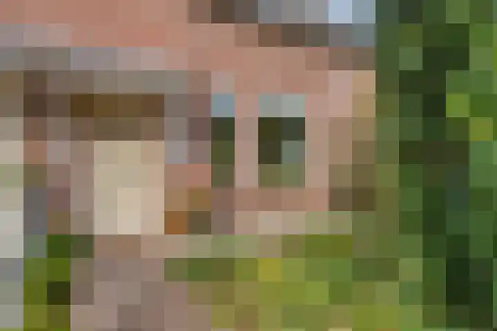 Kuipershoek 12 Drimmelen thumbnail 5