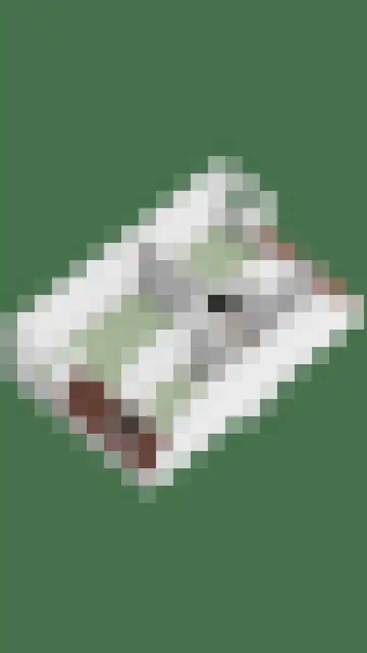 Kuipershoek 12 Drimmelen thumbnail 51