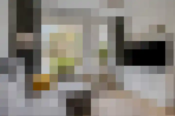 Kuipershoek 12 Drimmelen thumbnail 7