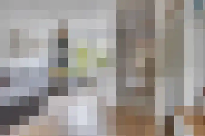 Kuipershoek 12 Drimmelen thumbnail 9
