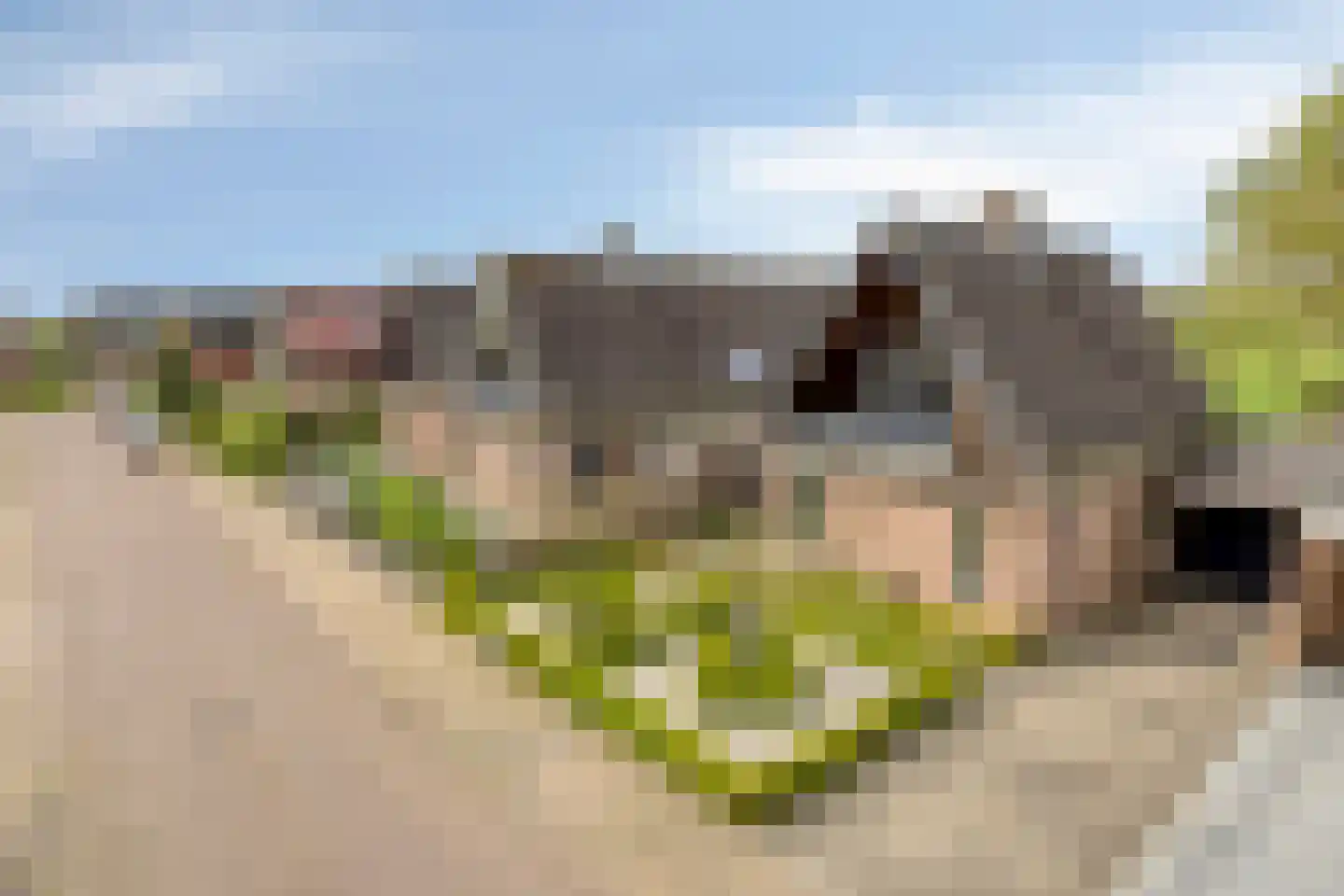 Kuipershoek 18 Drimmelen thumbnail 4