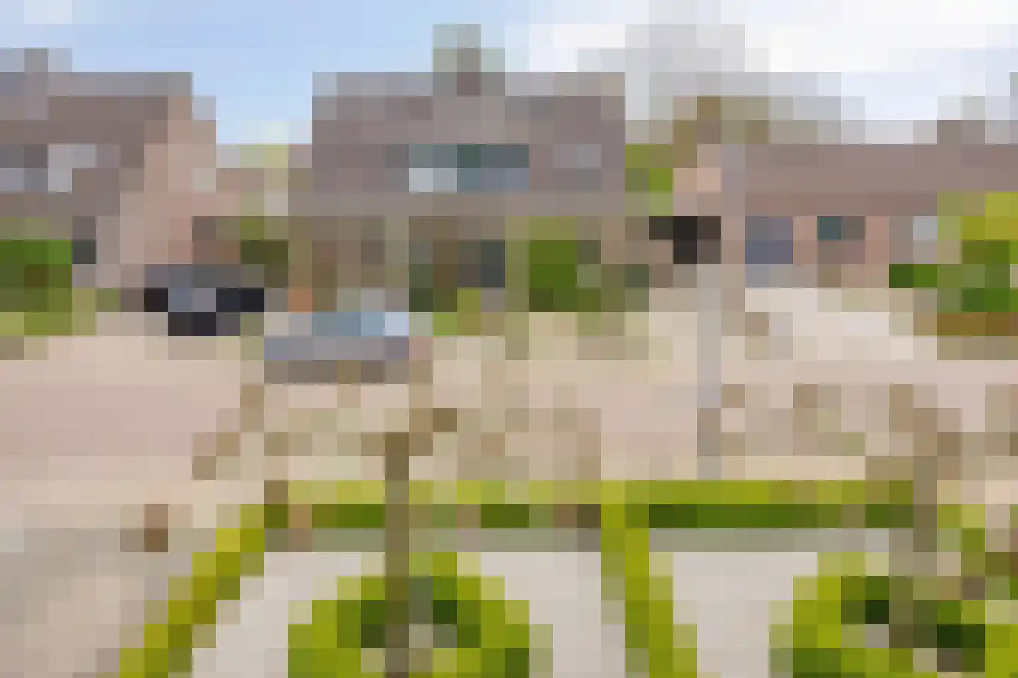 Kuipershoek 18 Drimmelen thumbnail 43