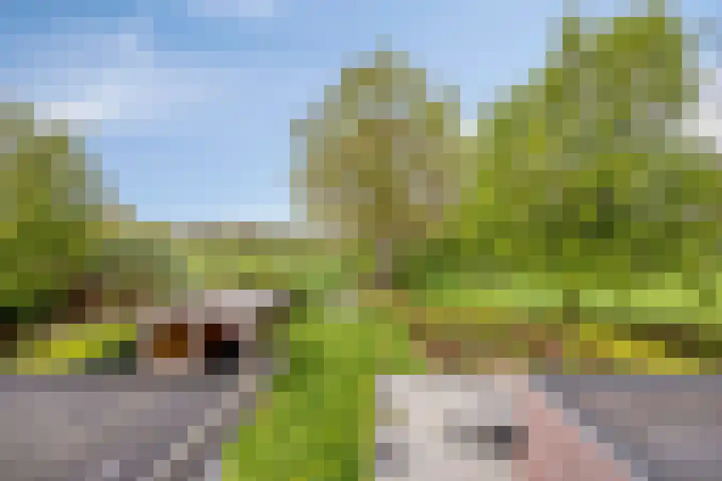 Kuipershoek 18 Drimmelen thumbnail 53