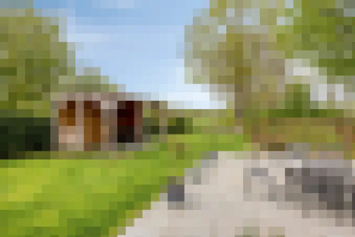 Kuipershoek 18 Drimmelen thumbnail 62